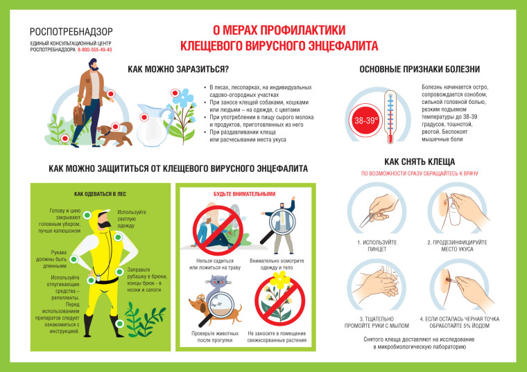 Мал, но опасен! Клещ..